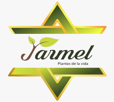 JARMEL E.I.R.L.