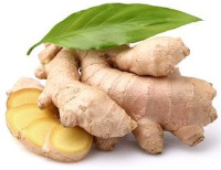 Conventional and Organic Ginger
