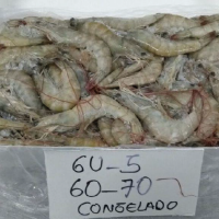 Peruvian Prawn (Litopenaeua Vannamei)