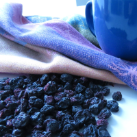 Dried Blueberries