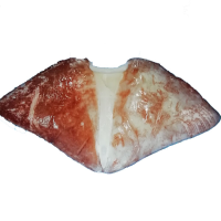 Squid Wings