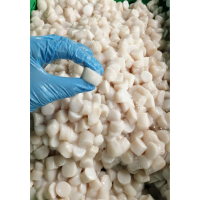 IQF Squid Buttons 