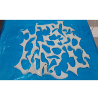 Frozen Squid Cuttings