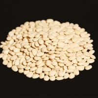 Baby Lima Beans (Phaseolus Lunatus Lt)
