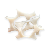 Giant Squid Bits & Pieces