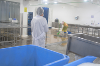 Production Plant