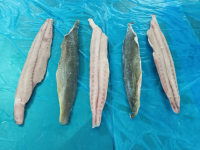 Mahi Mahi Fillet Skin Off