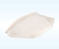 Frozen Giant Squid Fillets