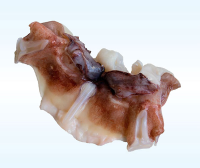 Giant Squid Necks