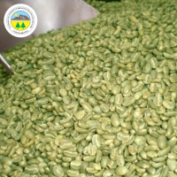 Green Gold Coffee