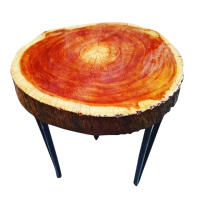 Rustic Table with Ecological Amazonian Wood Root 