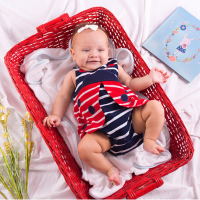 Ladybug Set