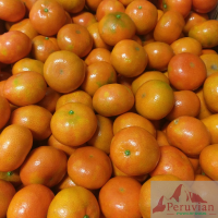 Fresh Tangerine