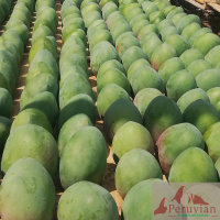 Fresh Mango