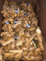 Fresh Ginger