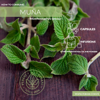  Muña Food Supplement
