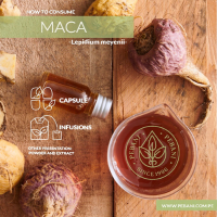 Maca Food Supplement
