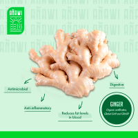 Fresh Organic Ginger 13.60kg
