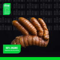 Fresh Organic Turmeric