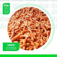 Fresh Organic Turmeric