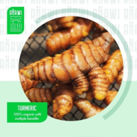 Fresh Organic Turmeric