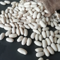 White Beans 2
