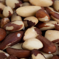 Brazil nut type tinny