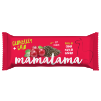 Andean Grains Energy Bar Cranberry+Chia
