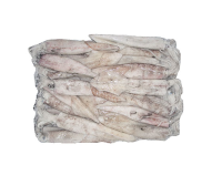 Frozen Squid in 10 and 20 kg Blocks