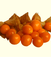 Aguaymanto 10kg