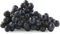 Sable Seedless Grape