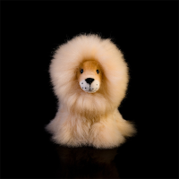 Alpaca Lion
