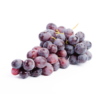 Wholesale Red Globe Grapes