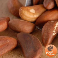 Brazil Nut Midget Type