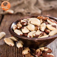 Brazil Nut Chipped Type