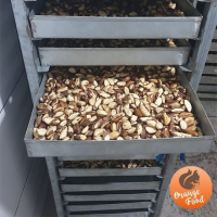 Brazil Nut Medium Type