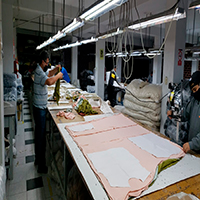 Cutting area