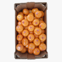 Fresh Mandarine Honey Murcott