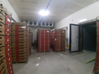 Container loading area