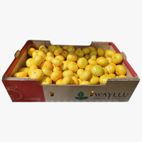 Fresh Mandarine Satsuma 2