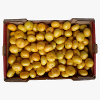 Fresh Mandarine Satsuma 3