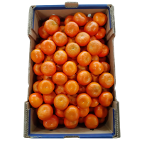 Fresh Mandarine W Murcott