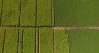 Agromix
