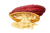 Organic Cocoa Butter Wafer 15.88kg