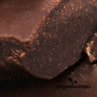 Organic cacao liquor/paste