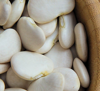 Lima Beans Bulks
