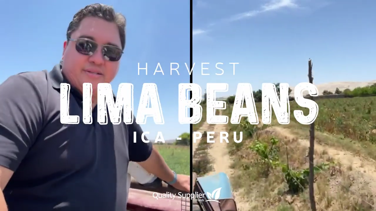 Lima Beans Harvest Ica - Perú Video sign