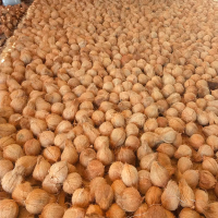 Coco Nucifera in Raschel Mesh 20kg 