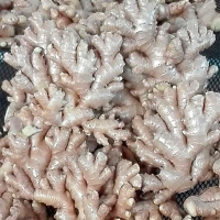 Fresh Ginger from 75 to 207g