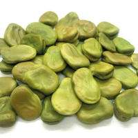 Premium Quality Peruvian Beans in 25 kg Bags